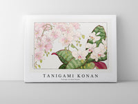
              Tanigami Konan - Vintage orchid flower
            