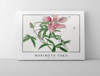 
              Morimoto Toko - Flower illustration from Churui Gafu (1910)
            