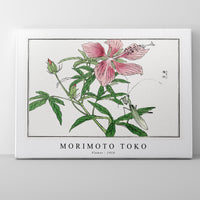 Morimoto Toko - Flower illustration from Churui Gafu (1910)