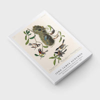 John James Audubon - Chesnut-backed Titmouse, Black-capt Titmouse and Chesnut-crowned Titmouse(1827)