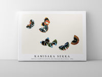 
              Kamisaka Sekka - Japanese woodblock butterfly (One Thousand Butterflies) - 1904
            