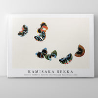 Kamisaka Sekka - Japanese woodblock butterfly (One Thousand Butterflies) - 1904