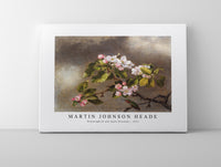 
              Martin Johnson Heade - Hummingbird and Apple Blossoms (1875)
            