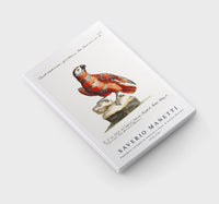 
              Saverio Manetti - Pappagallo variegato di cenerino e rosso, di Guinea (Parrot) 1723-1785
            