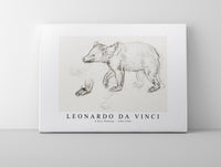 
              Leonardo Da Vinci - A Bear Walking 1482-1485
            