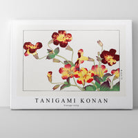 Tanigami Konan - Vintage tulip