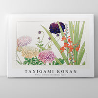 Tanigami Konan - Vintage scabiosa & montbretia flower