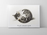 
              Jean Bernard - Rolled up lying sleeping cat (1825)
            