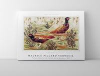 
              Maurice Pillard Verneuil - Faisans ordinaires from L'animal dans la décoration (1897)
            