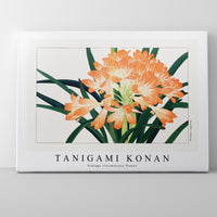 Tanigami Konan - Vintage cliviminiata flower