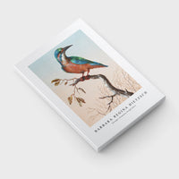 Barbara Regina Dietzsch - IJsvogel (Common Kingfisher)