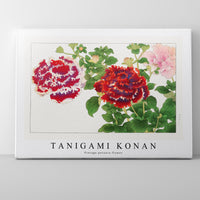 Tanigami Konan - Vintage petunia flower