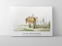 
              Jean Bernard - A brown and white horse on a road next to a fence
            