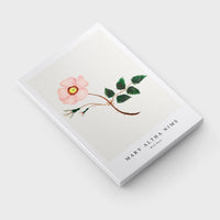 Mary Altha Nims - Wild Rose