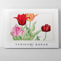 Tanigami Konan - Tulip