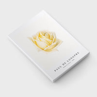 Paul de longpre - Study of a Rose (ca. 1898)