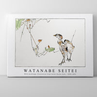 Watanabe Seitei - Wild ducklings illustration from Seitei Kacho Gafu 1890-1891