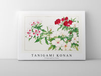 
              Tanigami Konan - Vintage godetia flower
            