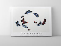 
              Kamisaka Sekka - Japanese butterfly (One Thousand Butterflies) - 1904 (12)
            