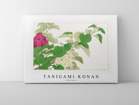 
              Tanigami Konan - Lilac flower
            