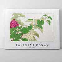 Tanigami Konan - Lilac flower
