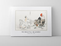 
              Numata Kashu - Domestic Fowl illustration from Pictorial Monograph of Birds (1885)
            