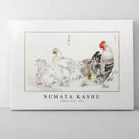 Numata Kashu - Domestic Fowl illustration from Pictorial Monograph of Birds (1885)