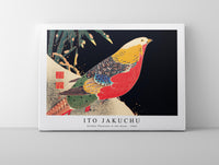 
              Ito Jakuchu - Golden Pheasant in the Snow (ca. 1900)
            