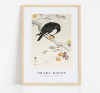 
              Ohara Koson - Crow with kaki fruit (1900 - 1910) by Ohara Koson (1877-1945)
            