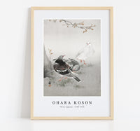 
              Ohara Koson - Three pigeons (1900-1930) by Ohara Koson (1877-1945)
            
