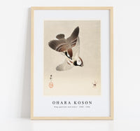 
              Ohara Koson - Ring sparrows and insect (1900 - 1936) by Ohara Koson (1877-1945)
            