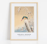 
              Ohara Koson - Kingfisher in the snow (1925 - 1936) by Ohara Koson (1877-1945)
            