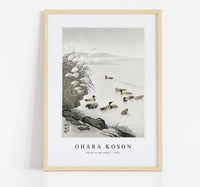 
              Ohara Koson - Ducks in the water (1931) by Ohara Koson (1877-1945)
            