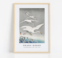 
              Ohara Koson - Descending egrets in snow (1925 - 1936)
            