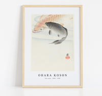 
              Ohara Koson - Two carp (1900 - 1930) by Ohara Koson (1877-1945) (2)
            