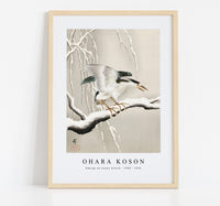 
              Ohara Koson - Emerge on snowy branch (1900 - 1930) by Ohara Koson (1877-1945)
            