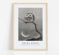 
              Ohara Koson - Long-eared owl on bare tree branch (1900 - 1930)
            