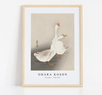 
              Ohara Koson - Two geese (1900-1930) by Ohara Koson (1877-1945)
            