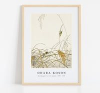 
              Ohara Koson - Grasshoppers on rice plants (1900 - 1936) by Ohara Koson (1877-1945)
            