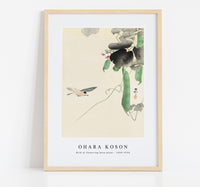 
              Ohara Koson - Bird at flowering bean plant (1900 - 1930) by Ohara Koson (1877-1945)
            
