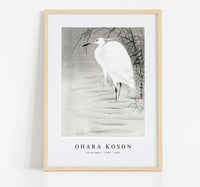 
              Ohara Koson - Little Egret (1900 - 1930) by Ohara Koson (1877-1945)
            