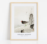 
              Ohara Koson - Moorhen (1900 - 1936) by Ohara Koson (1877-1945)
            