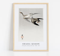 
              Ohara Koson - Great geese, flying in the snow (1900 - 1910) by Ohara Koson (1877-1945)
            
