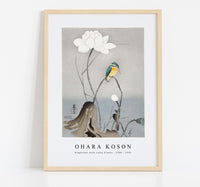 
              Ohara Koson - Kingfisher with Lotus Flower (1900 - 1945) by Ohara Koson (1877-1945)
            