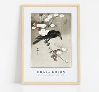 
              Ohara Koson - Crow with cherry blossom (1900 - 1930) by Ohara Koson (1877-1945)
            