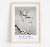 
              Ohara Koson - Sparrows and snowy plum tree (1900 - 1936) by Ohara Koson (1877-1945)
            