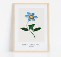 
              Mary Altha Nims - Star Flower
            