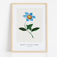 Mary Altha Nims - Star Flower