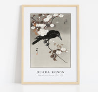 
              Ohara Koson - Crow and cherry blossom (1930 - 1975) by Ohara Koson (1877-1945)
            