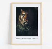 
              abbott handerson thayer - Tiger's Head painting in high resolution
            